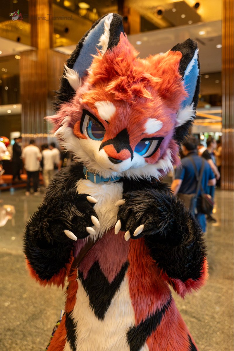 Randaeyote's tweet photo. 你好我是羅宋！羅宋湯的羅宋！🦊
📷 @Future_Terminal 
#fursuitfriday #wwpass https://t.co/nY7PVVvJJW