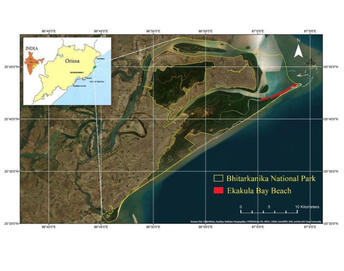 CrocSpecGroup's tweet photo. Recovering the Estuarine crocodile (Crocodylus porosus) population in the Bhitarkanika National Park/ Wildlife Sanctuary in Odisha, India.

Read more here: https://t.co/WypiIwIHjf https://t.co/llp8xzUFOn