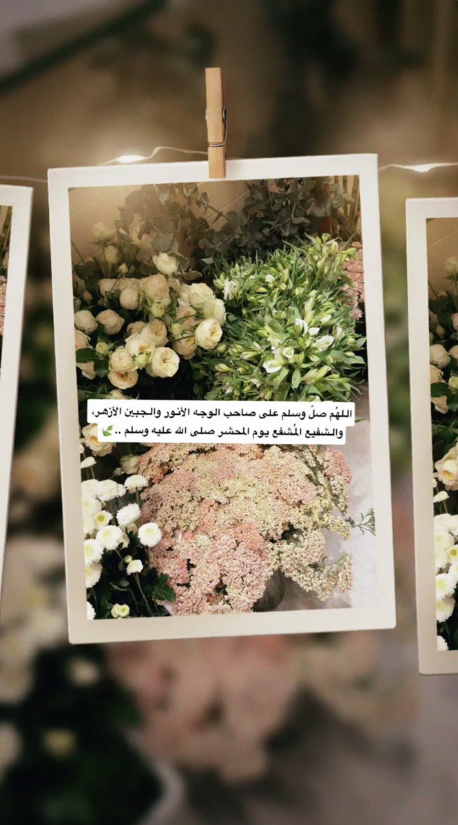 عبير علي الغامدي tweet media