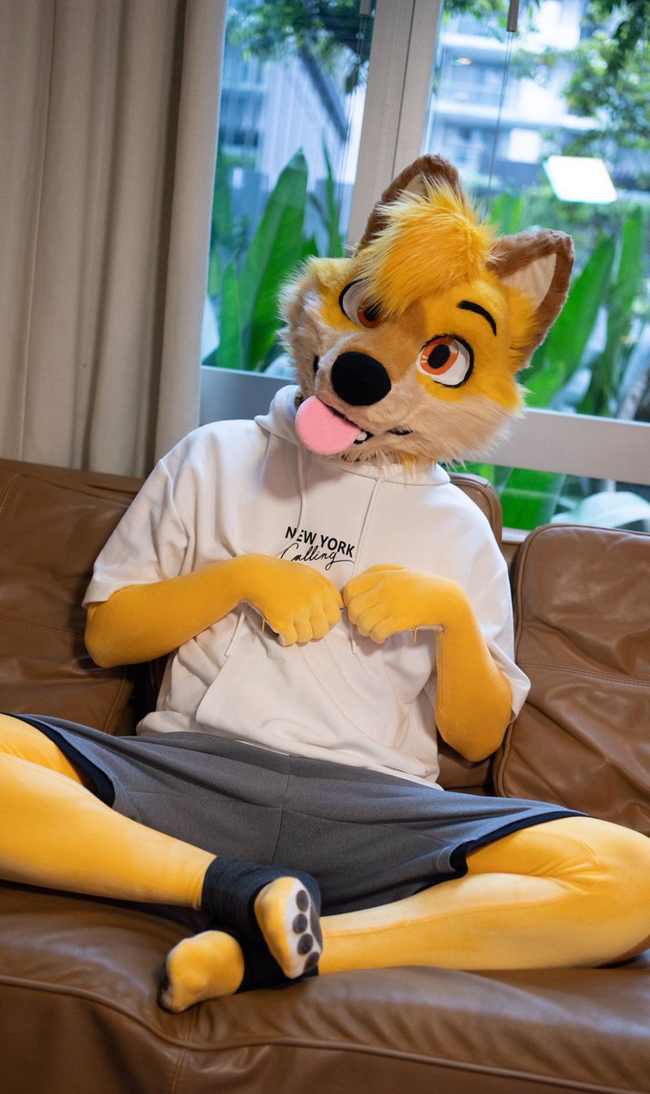 leydingofox's tweet photo. sneaks into your house and sits on your sofa 🦊🛋️ #FursuitFriday https://t.co/8nBpReXiQG