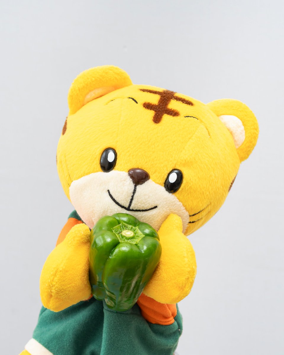 shima_official's tweet photo. みんなピーマンたべられるようになった？ https://t.co/IGEwwIsSEA