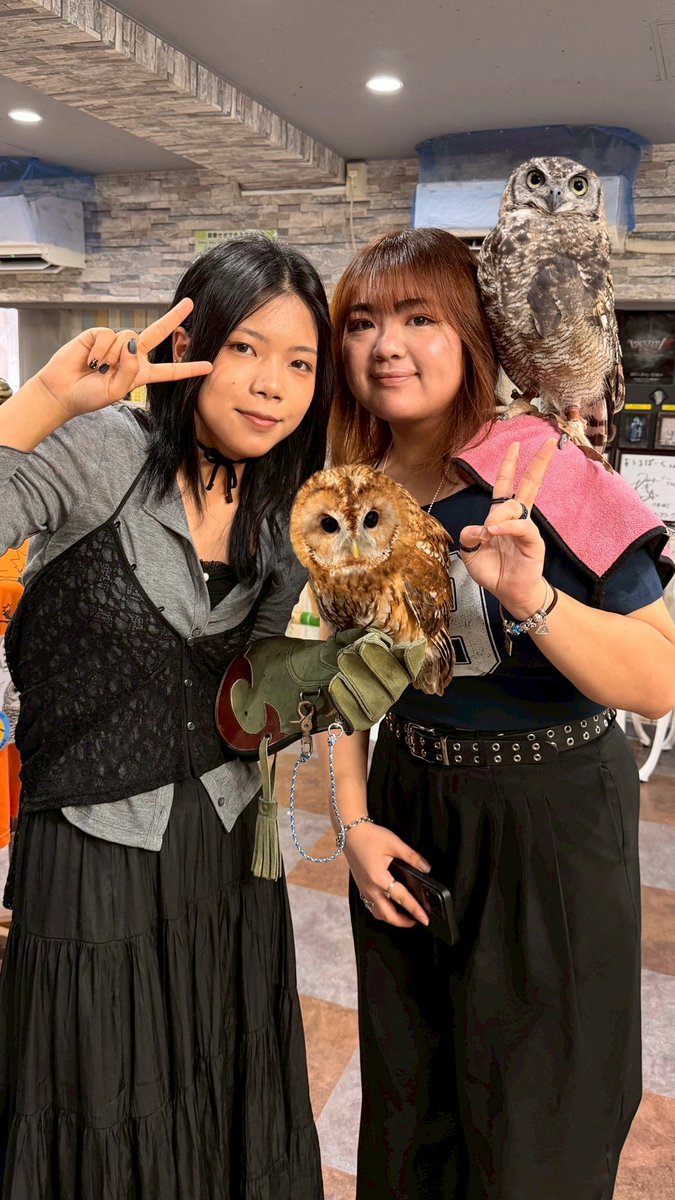 owlparktokyo's tweet photo. フクロウカフェ池袋西口ご来店ありがとうございました🦉

体験型フクロウカフェ東京池袋西口
あうるぱーく フクロウカフェ池袋
https://t.co/VeuAEEWv8v
フクロウカフェ道順https://t.co/od7Flovbbi
池袋駅西口(東武デパート側)
IT tower tokyo 裏手 徒歩1分
#あうるぱーく #フクロウカフェ
#池袋 https://t.co/E3zGlLEpRR