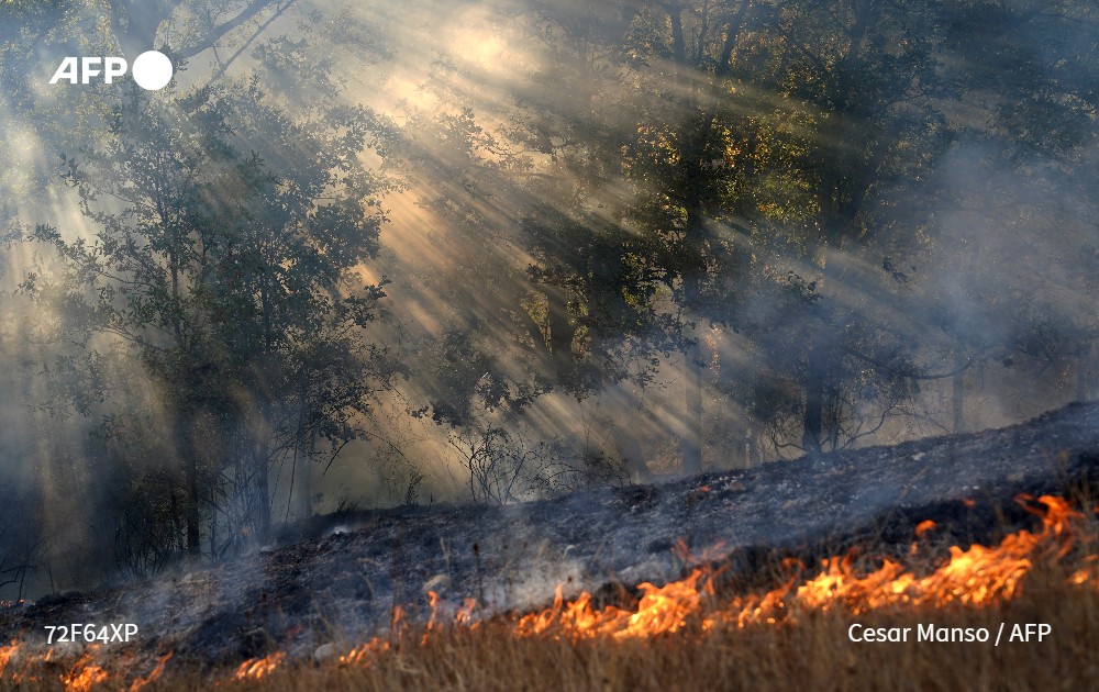 AfpFactual's tweet photo. ⚠️ Cuando hay incendios forestales, la desinformación vuelve a propagarse en redes.

🔍 Y no, ni la mayoría de incendios forestales son provocados por “pirómanos” ni el cambio climático está desvinculado de los fuegos.

Te lo explicamos aquí 👇

https://t.co/mxWgdiA0my https://t.co/IuX4nZCFm9