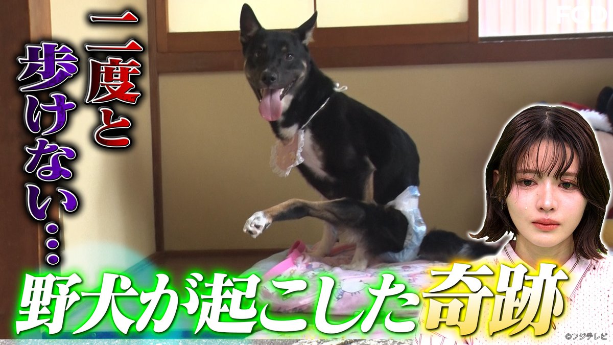 鎮西寿々歌(FRUITS ZIPPER) (@suzuka_fz1124) / Posts / X