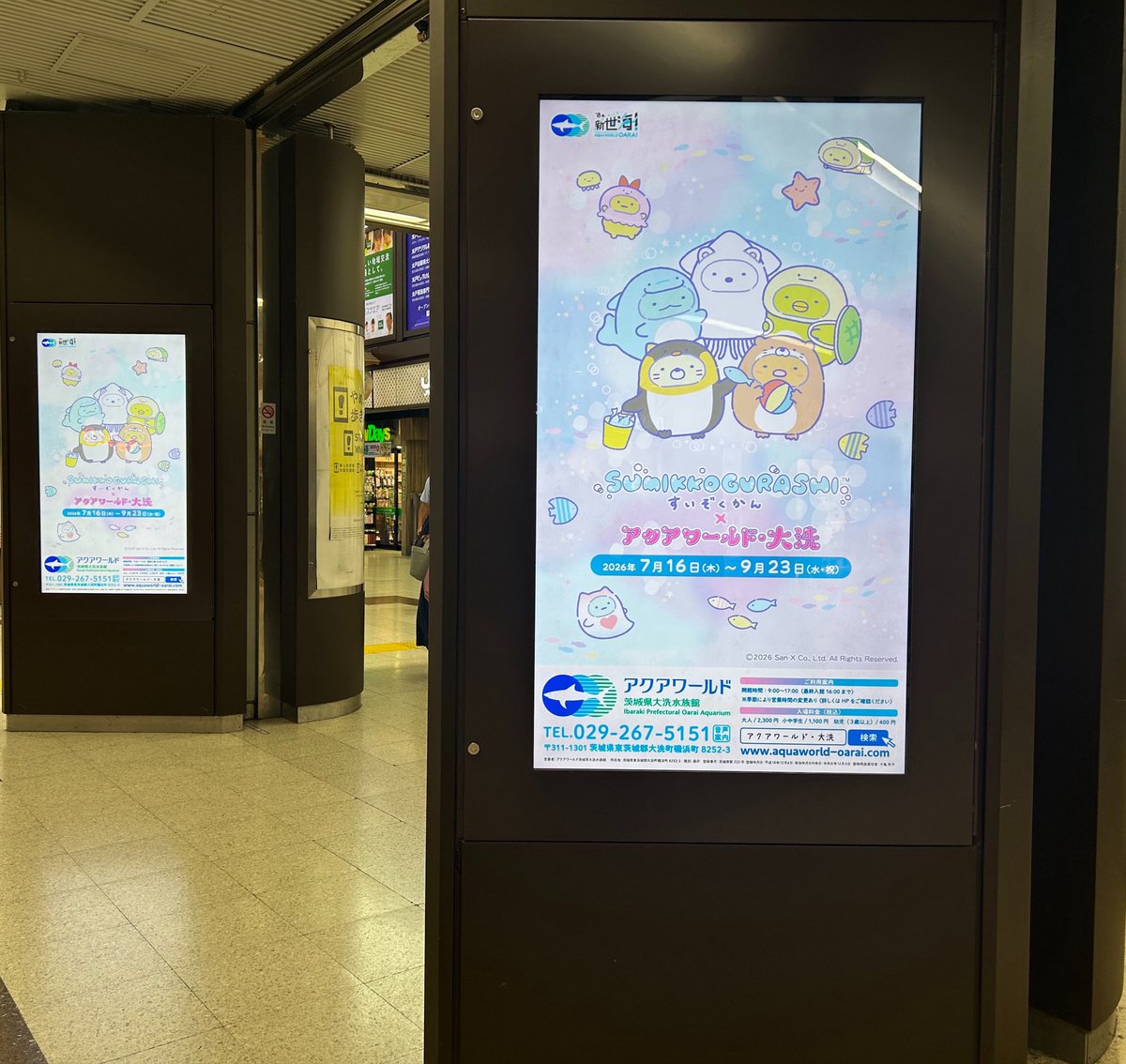 ale2557's tweet photo. @noxs34 ちあみさんの情報のおかげで、今日、水戸駅と大洗駅の両方に寄ってきました！☺️
水戸駅の広告は、もう次のすみっコぐらしコラボに変わっていたみたいですが、大洗駅にはまだチラシがたくさんありました！
教えてくださって、本当にありがとうございました🦈✨ https://t.co/tgEGY65EpD