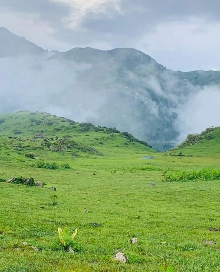 koshurEinstein's tweet photo. SubhanAllah! 🍃⛰️
When you reflect upon Allah's creation, your heart cannot help but testify to His greatness. These breathtaking valleys, lush green meadows, and mountains wrapped in clouds all proclaim:
"So which of the favors of your Lord will you deny?" (Qur'an 55:13) 🌿🤍 https://t.co/nvthf0Slqh