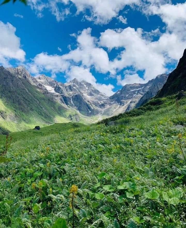 koshurEinstein's tweet photo. SubhanAllah! 🍃⛰️
When you reflect upon Allah's creation, your heart cannot help but testify to His greatness. These breathtaking valleys, lush green meadows, and mountains wrapped in clouds all proclaim:
"So which of the favors of your Lord will you deny?" (Qur'an 55:13) 🌿🤍 https://t.co/nvthf0Slqh