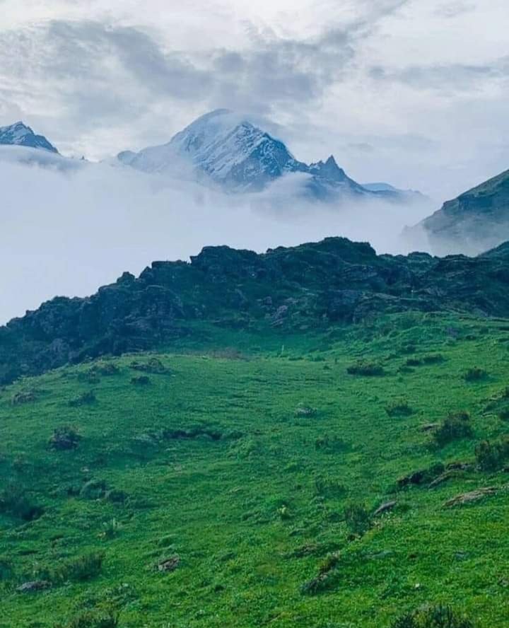 koshurEinstein's tweet photo. SubhanAllah! 🍃⛰️
When you reflect upon Allah's creation, your heart cannot help but testify to His greatness. These breathtaking valleys, lush green meadows, and mountains wrapped in clouds all proclaim:
"So which of the favors of your Lord will you deny?" (Qur'an 55:13) 🌿🤍 https://t.co/nvthf0Slqh