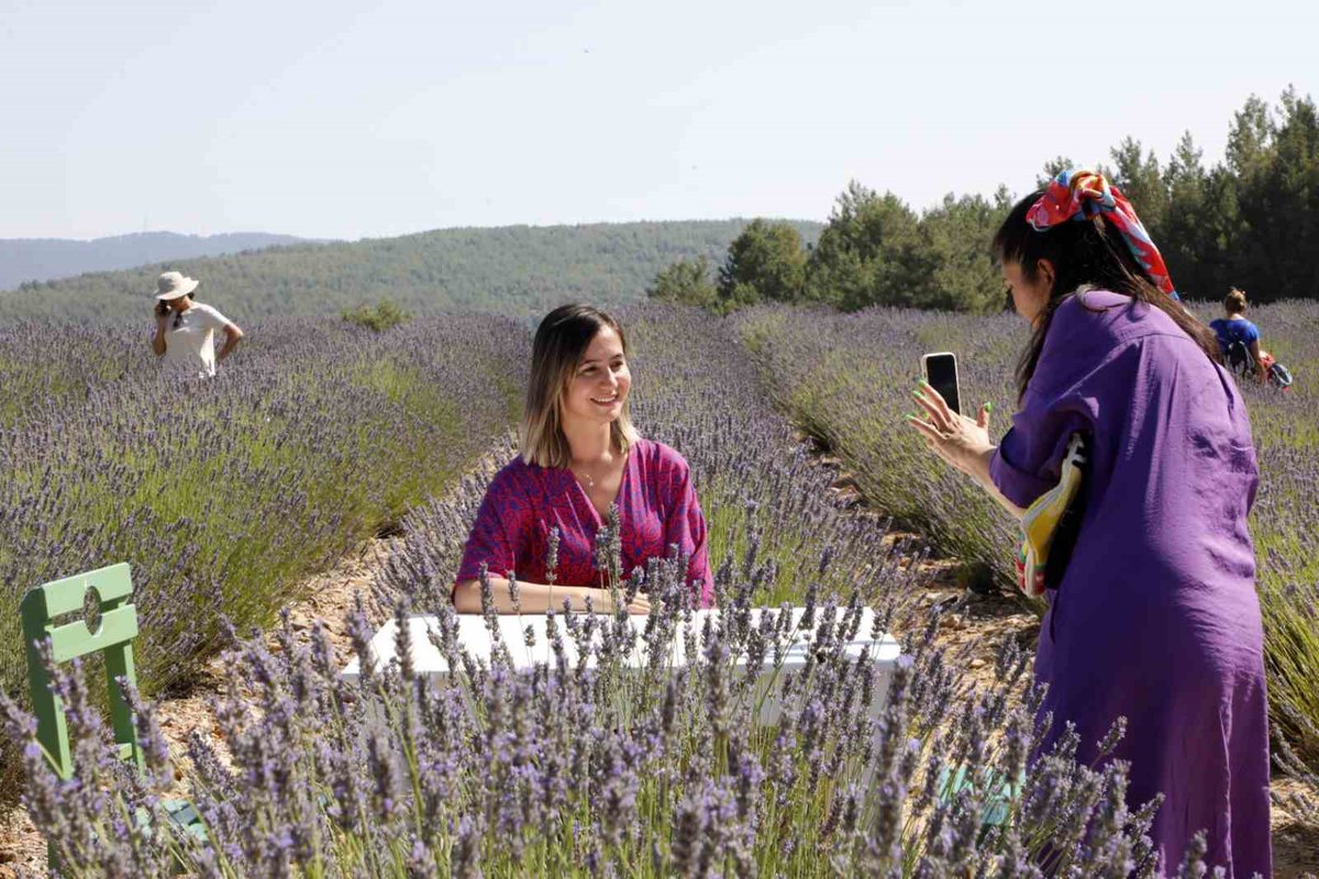 isindetayihaber's tweet photo. Koku Vadisi’nde Lavanta hasadı başlıyor
HABERE TIKLA>https://t.co/Yb64VZJEOO
@muglabsb #lavanta #hasad #guzelkoku #parfum #hammadde #tarim #ciftci #Mugla #Bodrum #marmaris #datca #haber #Turkiye https://t.co/bqb8wMLdUY