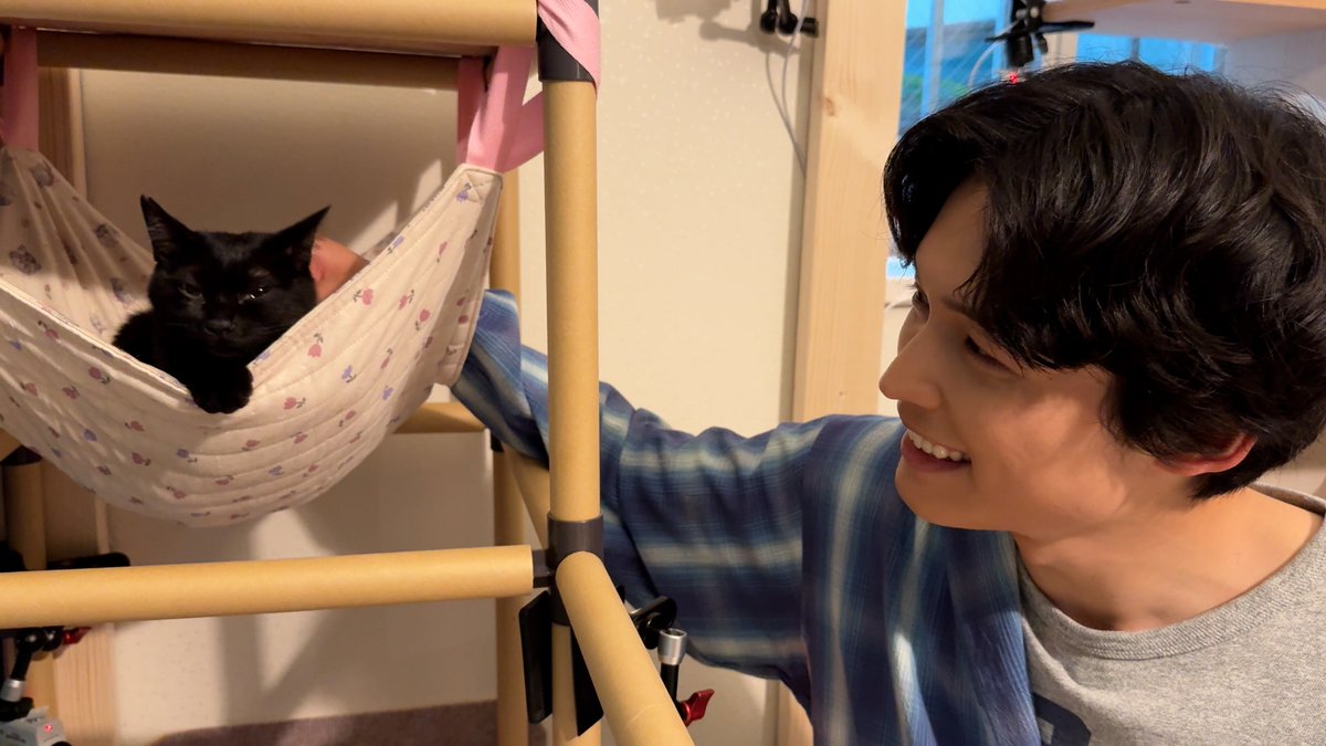 oricon's tweet photo. 📺今夜の『嗚呼‼みんなの動物園』

SixTONES・松村北斗
ダーリンハニー・長嶋のもとを訪問！

猫好き男子・松村
2匹の保護猫にメロメロ状態に🖤🐾
https://t.co/QUaaFxPd9x https://t.co/YBPeFS19xZ