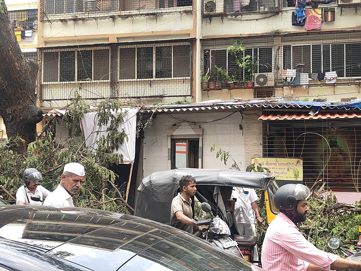 RajeKate1's tweet photo. @mybmc @mybmcWardN अमृत नगर घाटकोपर पश्चिम परिसरात वृक्षांची छाटणी करून 2 दिवस होऊन गेले आहेत अद्याप कचरा पडून आहे त्यामुळे वाहतूक कोंडी होत आहे https://t.co/Hp8RFTIq16