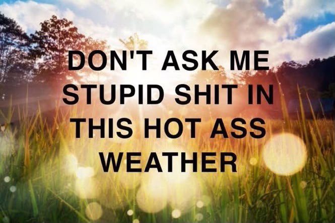 lagomorph_Bruce's tweet photo. Not today people, not today https://t.co/OhyZK0MIR6
