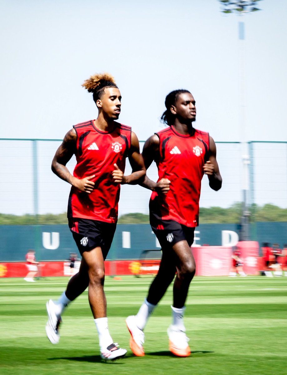 (fan) Frank 🧠🇾🇪 tweet media