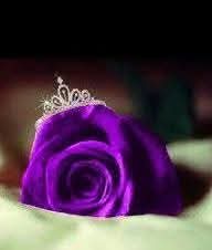 MagedMohyee's tweet photo. @SanaSohayl67900 https://t.co/revvtczcvW