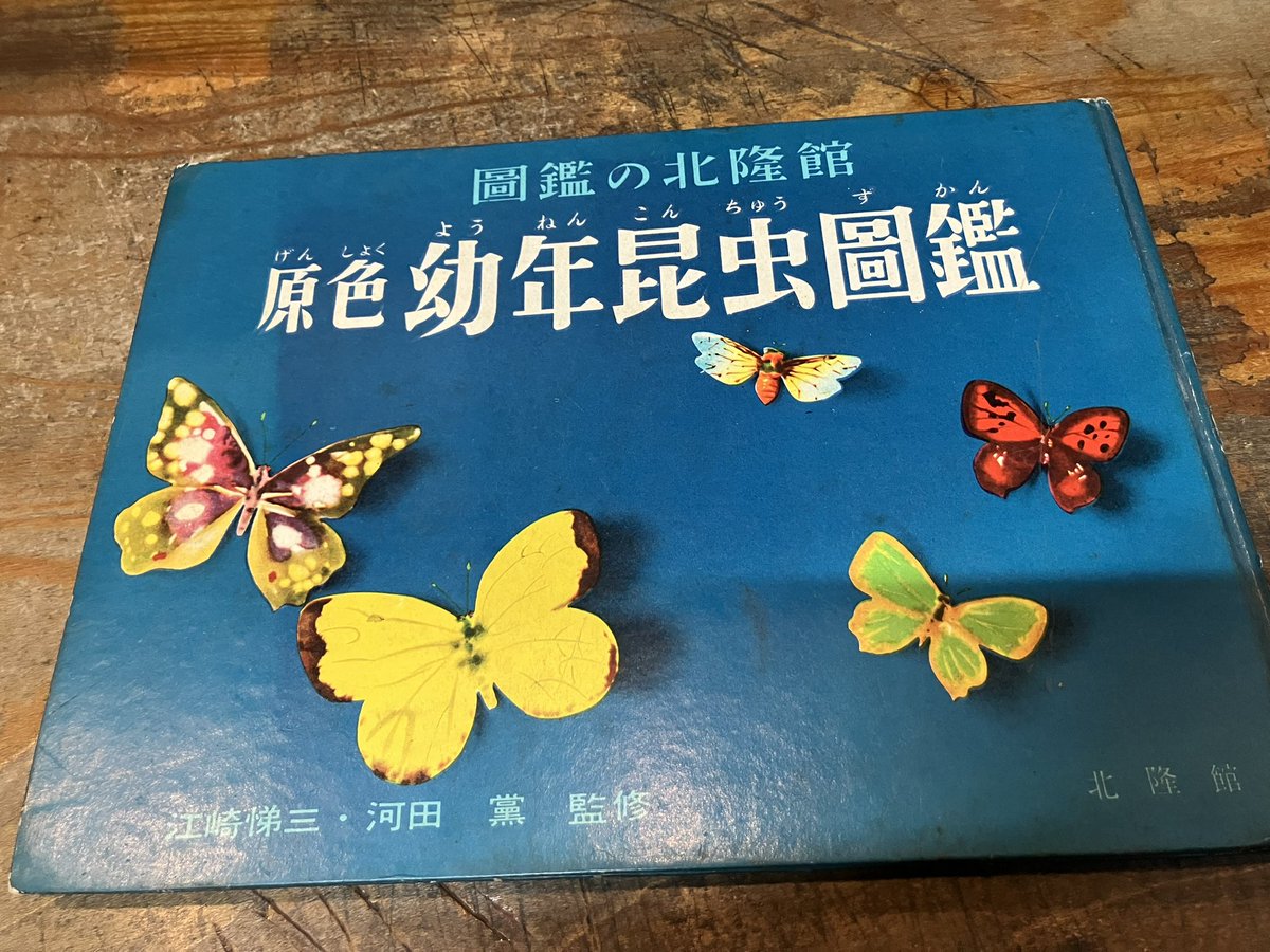 原色幼年昆虫図鑑を店頭に。1956年、北隆館。