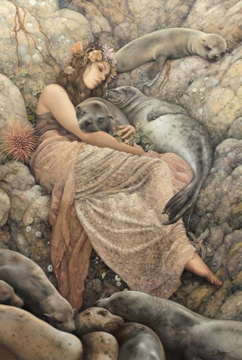 StephenGeoRae's tweet photo. Selkie; numerous superstitions abound for the origin of the seal-folk. For example, they can only assume human form once every seven years, or are fallen angels

more in my book "Folklore of Scotland"
https://t.co/WGZI2y01PU

art: Arantza Sestayo https://t.co/kbmHfJ36Hp