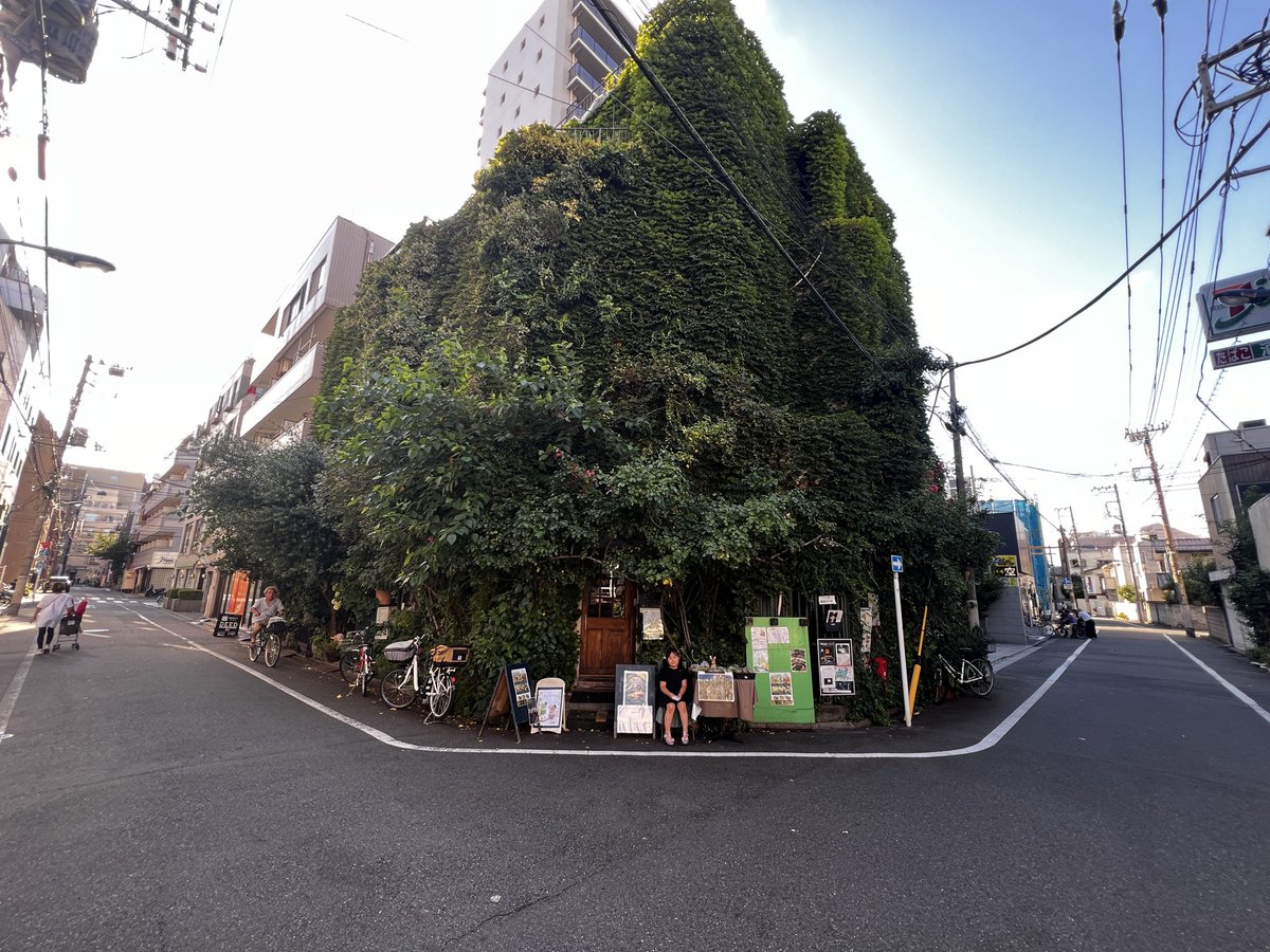 hkrtki's tweet photo. 赤羽のすげぇカフェ

年々緑がデカくなってる…？

参観日後に娘と

#エリーズカフェ https://t.co/MpLY2XYqRE