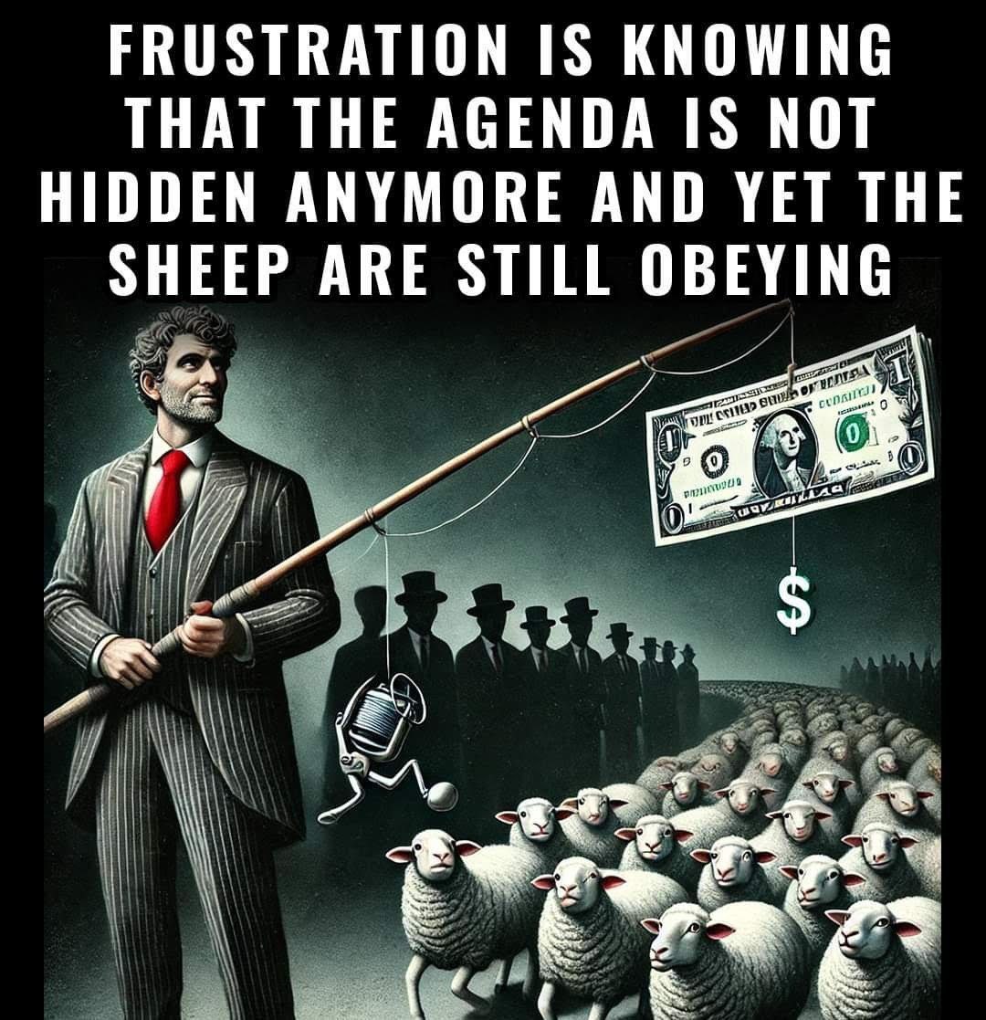 WallWyatt83683's tweet photo. EXACTLY 👇 https://t.co/JOTXaPHjph