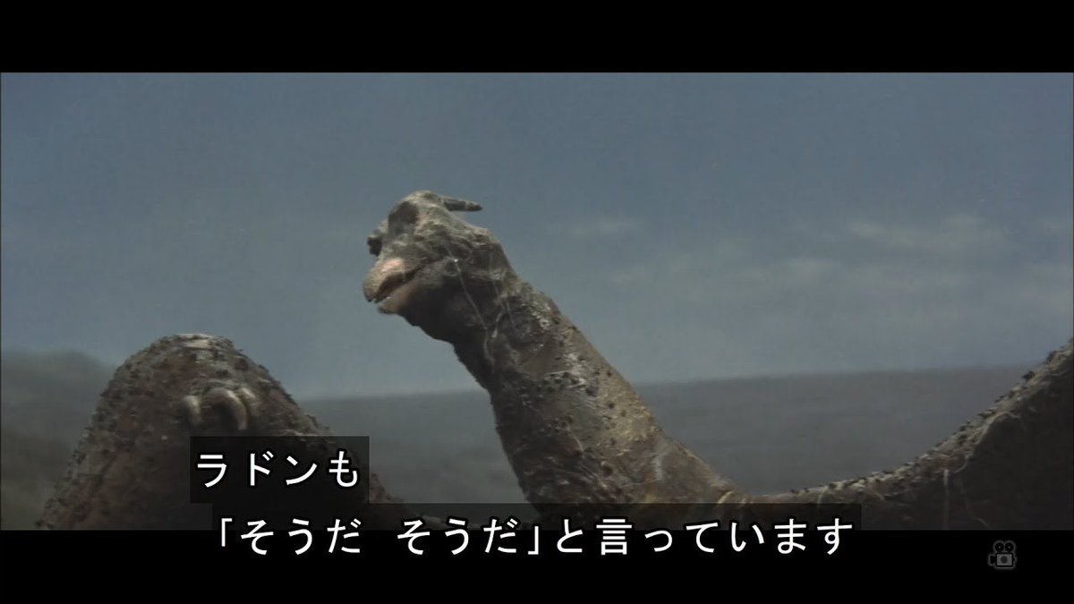 トリコシー👊 tweet media