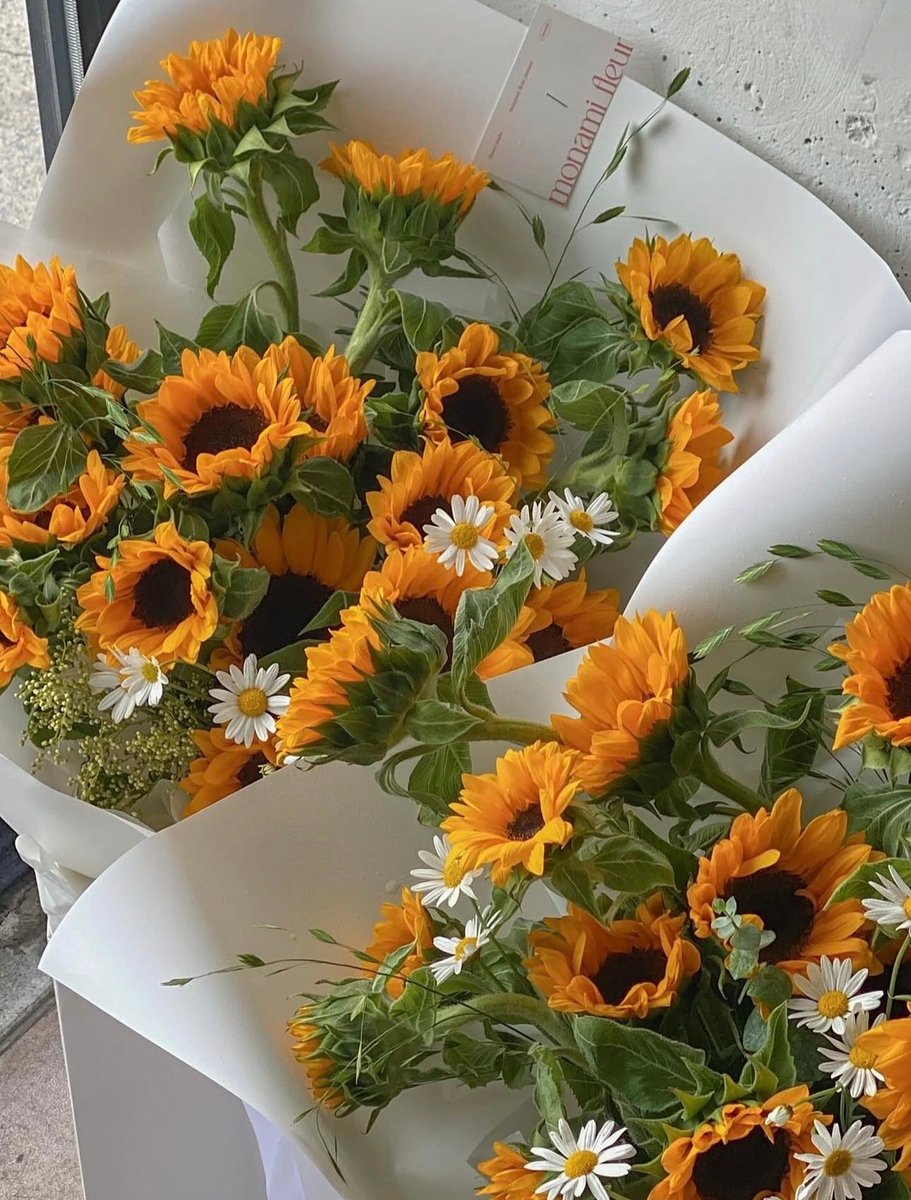 Flowers tweet media