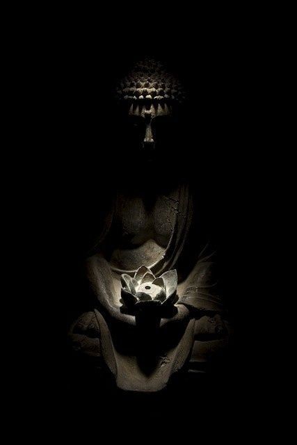 Zenm001's tweet photo. My destination is no longer a place,

It is now a new way of seeing.

-Dokeshi no Michi https://t.co/RpmVEk4odn
