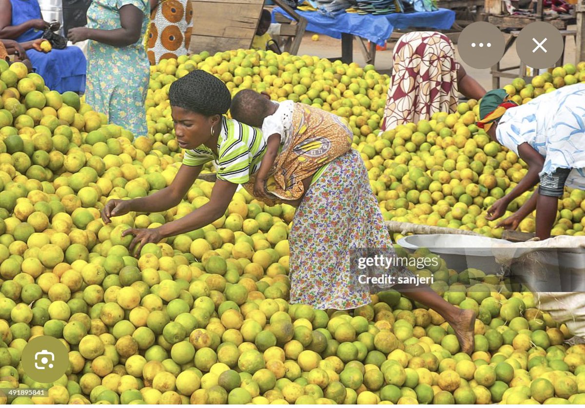 Meqojo's tweet photo. Dear @fdaghana I’m reliably informed that peeled oranges sold in traffic are dyed to obtain the gold orange color. Meanwhile oranges in GH are predominantly green. Pls look into this and stop it if it’s harmful for human consumption. https://t.co/C8gUTg1yn6