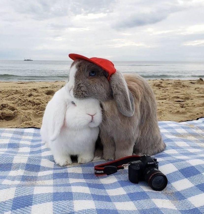 prtygal777's tweet photo. lovers by sea https://t.co/yGShlkJb5O