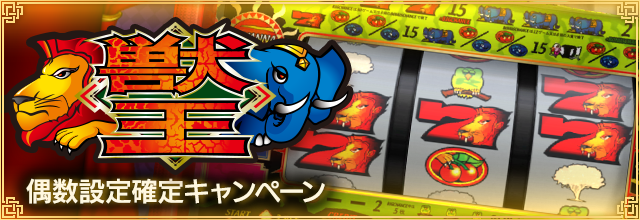 sega_MJ's tweet photo. 『獣王 偶数設定確定キャ��ペーン』開催中！
カジノのパチスロ「獣王」にて
対象台の設定が必ず偶数となります⚡
普段よりもチャンスが広がるこの機会に、ぜひ「獣王」をお楽しみください。
7/18(土)7:00まで！
https://t.co/4l5WGt6oF8
#麻雀MJ https://t.co/jbhLKpySqe