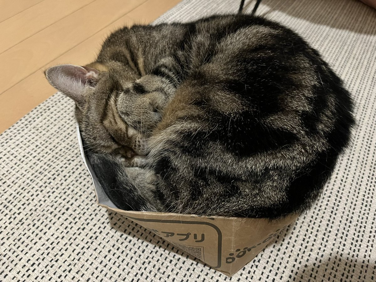 mizolekin's tweet photo. 金曜日
お疲れさまでした

ブックオフさんありがとうございます https://t.co/tbCHVDPgCm