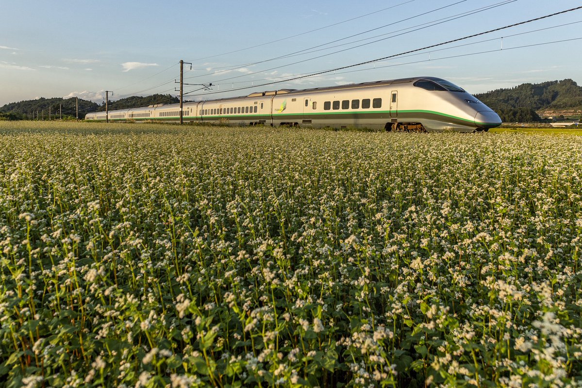 Series400_L3's tweet photo. 2023年9月

実りの秋からの、秋雨前線。
晴れの日だけでなく、曇りの日もまずまずの収穫が得られました。 https://t.co/UwgpbDGTyz