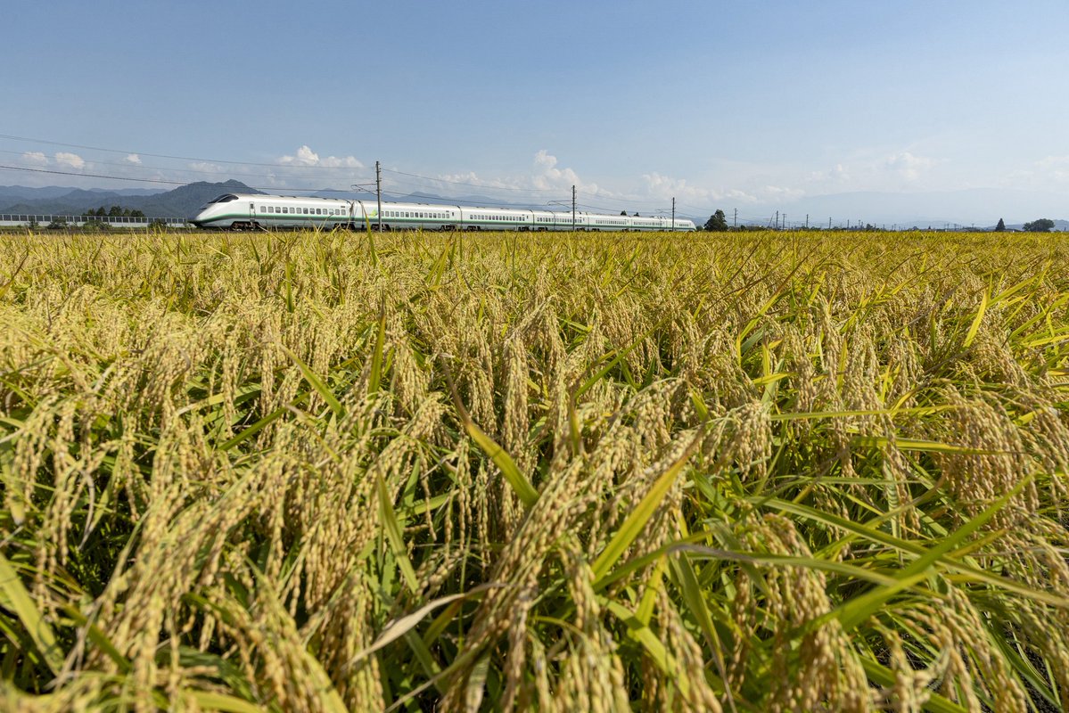 Series400_L3's tweet photo. 2023年9月

実りの秋からの、秋雨前線。
晴れの日だけでなく、曇りの日もまずまずの収穫が得られました。 https://t.co/UwgpbDGTyz