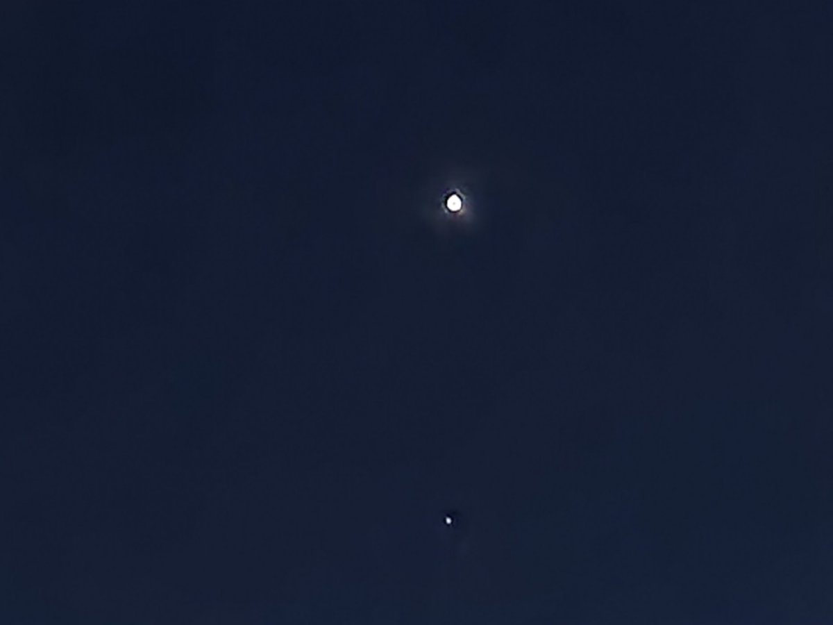 mirairaplanet's tweet photo. 西の空、宵の明星
金星がみえています。
今日は金星の下、
6時の方向に
しし座のレグルスが見えます。
腕をぐっと伸ばして
小指1本分下の辺り。
#からだのものさし
#金星
#しし座
#レグルス https://t.co/Ov1GKJYPE6