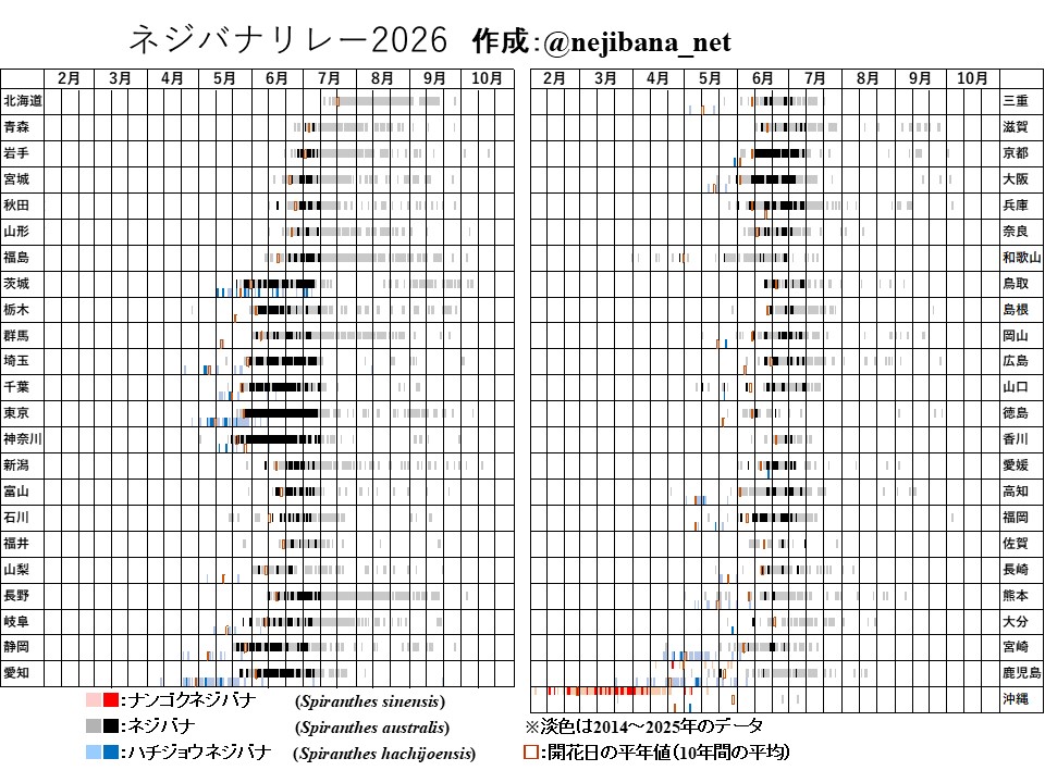 nejibana_net's tweet photo. 【拡散希望】ネジバナリレー2026を更新しました【7/10】
ネジバナやナンゴクネジバナ、ハチジョウネジバナ等の花を見かけたら、花の写真と撮影日、撮影した区市町村名、#ネジバナリレー2026 を付けて投稿してください。DMでのやりとりも可能です。 https://t.co/9q19WQmmtq