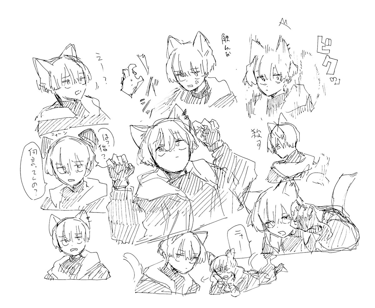 ムシノミ tweet media
