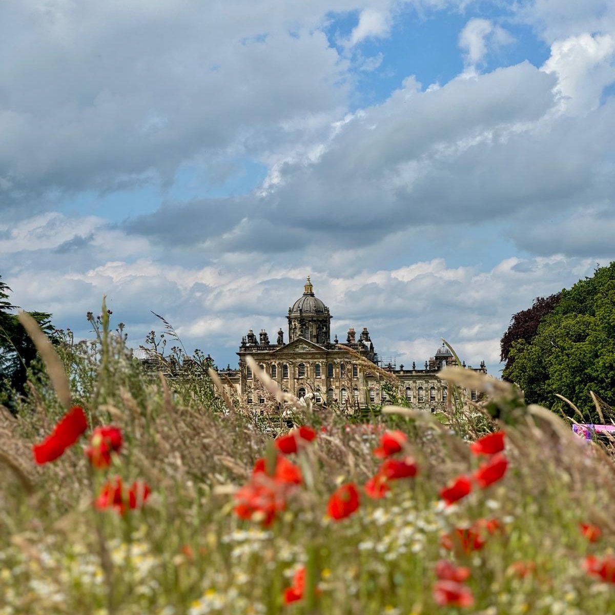 HelloYorkshire's tweet photo. A beauty in every season! From spring blooms to autumn colours and winter’s quiet charm, @CastleHowardEst never fails to captivate.
#helloyorkshire #NorthYorkshire #castlehoward #flowers #visitnorthyorkshire #visitmalton #maltonuk #englishheritage https://t.co/mG0I7cr136