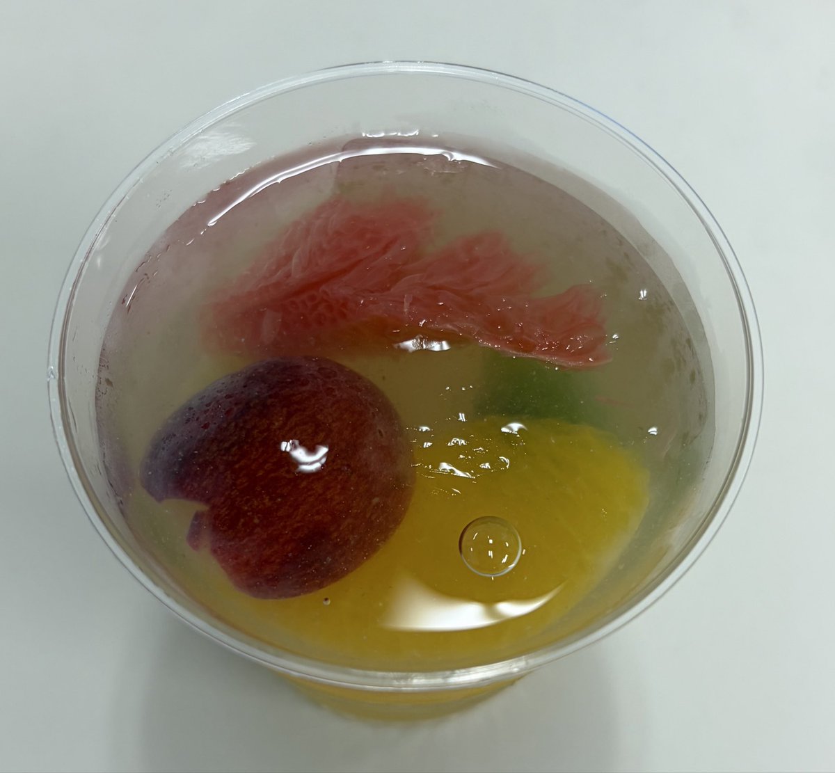 NeoChobin2023's tweet photo. いつも優しいスタッフたち。退院後はさらに大切にしてくれている。今日も「ご飯、どのくらい食べられるようになりましたか？」と聞かれたので「半人前かなぁ。人としては半人前でも、ご飯は2人前食べられていたのに！」と言ったらウケた。ご飯は半人前でも、オヤツはみんなで1人前ずつ食べた。 https://t.co/J7IwSNJx50