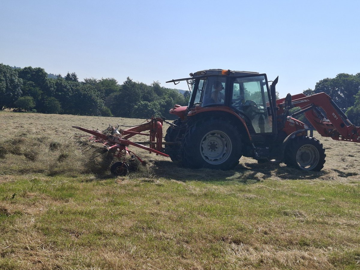 OurDoePark's tweet photo. Scorcher of a hay day. Cutting, turning, baling, stacking on repeat. Never too busy to ensure any late pheasant chicks are moved to safety though.
#haytime #farmingwithnature #heatwave #farming https://t.co/7MOI1461dB