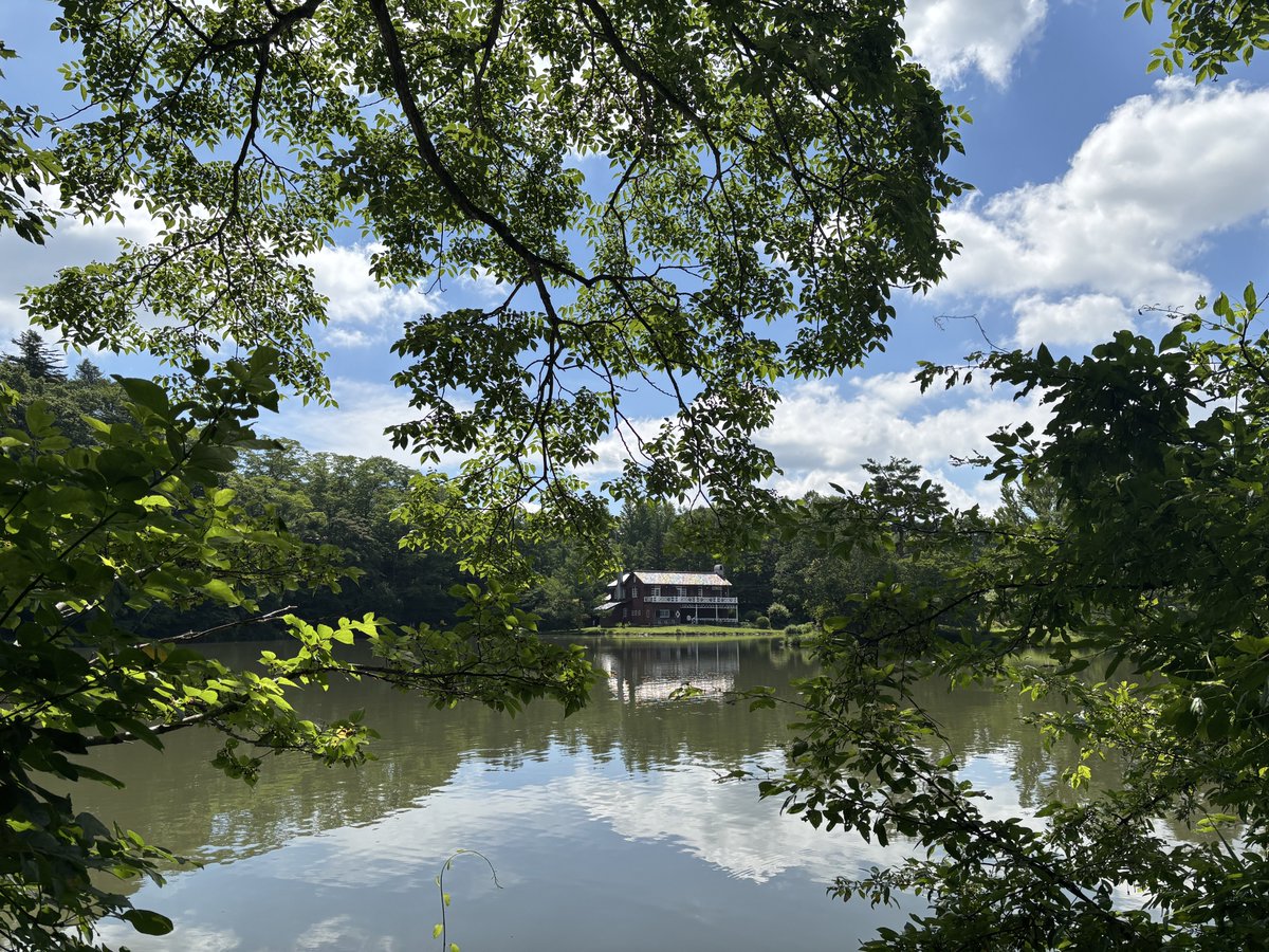 pprpp_'s tweet photo. 親と軽井沢に行って来ました
自然が豊かでした https://t.co/agEtsSxRL4