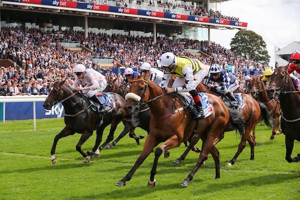 mdodsracing's tweet photo. Breaking news: Popular sprinter Dakota Gold has been retired after 17 wins in 79 races, amassing £488k in prize money. A dream horse to train, he's now set for a happy retirement home for life with us at Denton Hall.
https://t.co/YqcnDsUkwJ https://t.co/JTQVWRxIKH