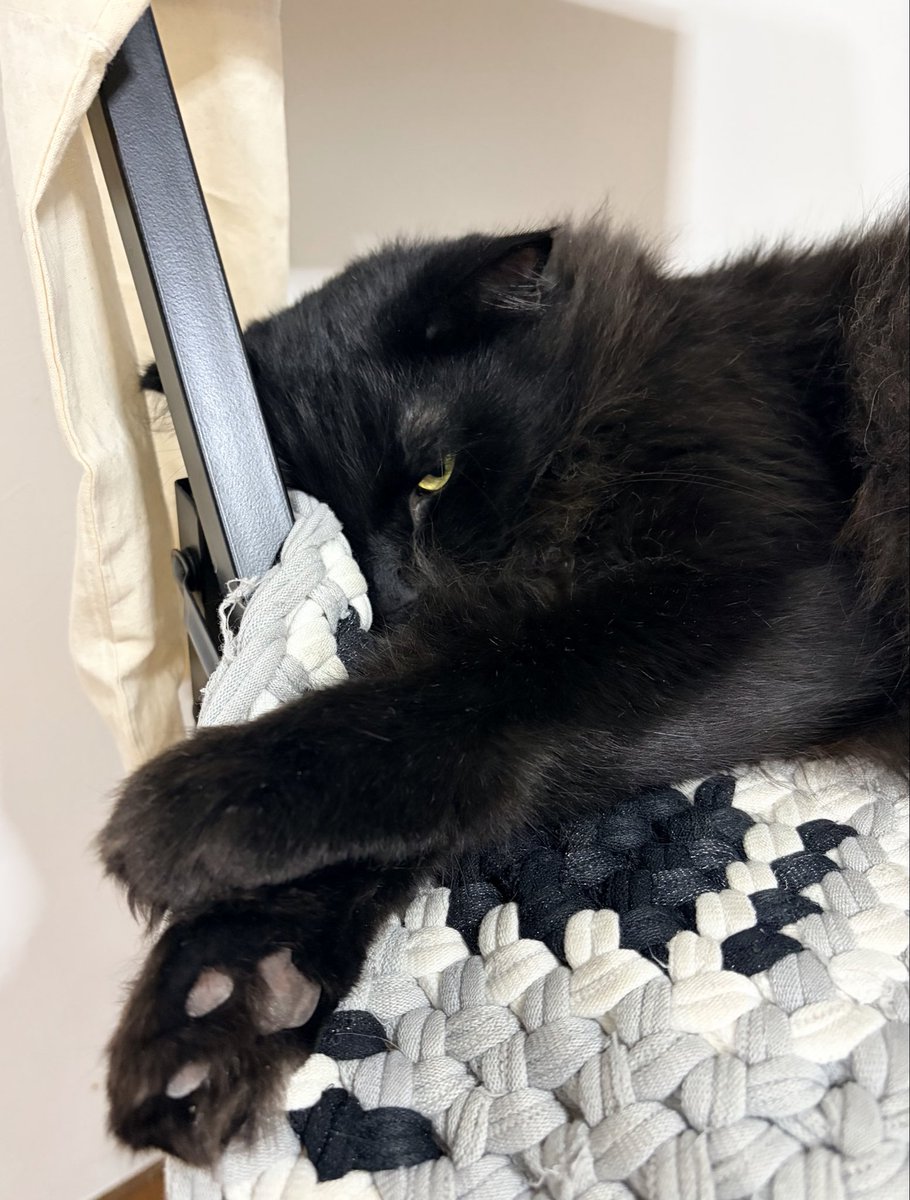 shitmeet2nd's tweet photo. すんげー眠いけどみててやる⚡️
（キレるもんならｷｯﾃﾐﾛ） https://t.co/LC5MrdTwPb