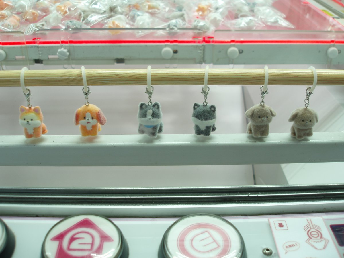 archkitayama's tweet photo. 景品入荷情報

ミニミニわんちゃん大集合
フロッキーワンポイントチャーム3(全10種）

入荷しました https://t.co/2UA2dpgl8l