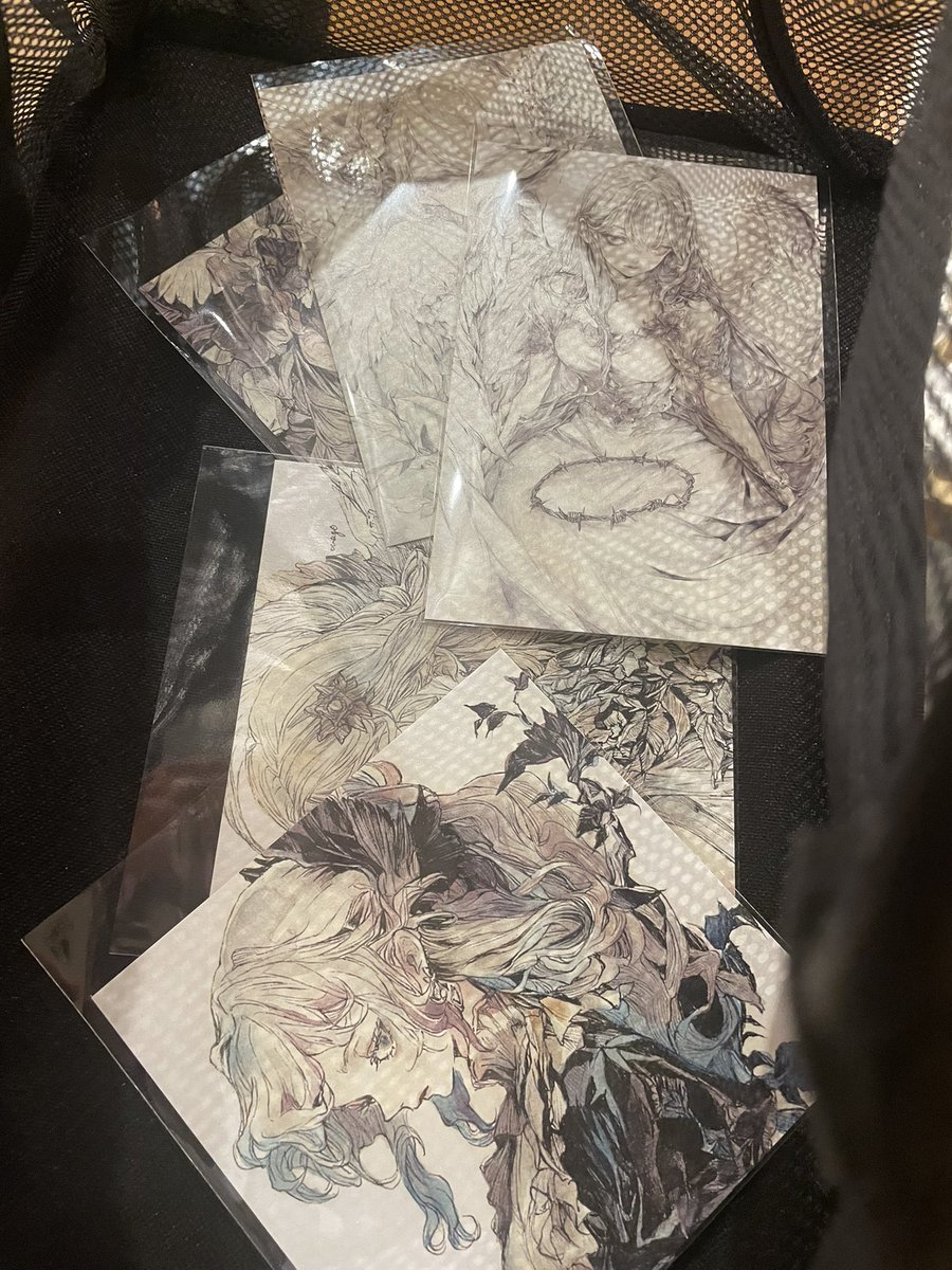 キャンバスアートが入ったと聞いて堪らずまた来てしまった。、 んだが