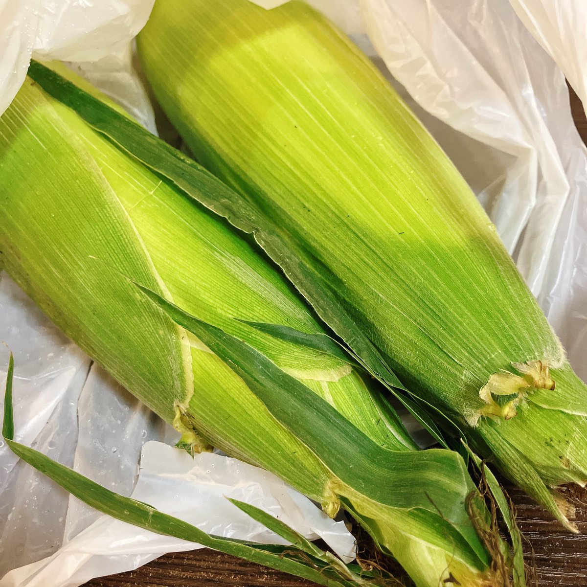 miichan96's tweet photo. とうもろこし畑で直販してたので1本だけ買おうと立ち寄ったら「試食どうぞ〜」と、もぎたて生とうもろこし試食させてもらう🌽「美味しい！」これは2本買うべきか…「2本にして下さい」と変更。そしたら「B品ですがこれもどうぞ」と5本入った袋もらった(2本食べ切れるか考えてたのにまさかの7本に🤣) https://t.co/vhVKeac46l