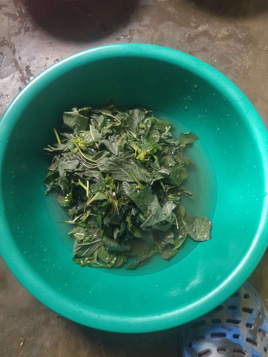 Obegi_'s tweet photo. Leo huku breakfast ni managu na pigweed... It wanna be yummy I tell you! https://t.co/KKGnVrG6Og