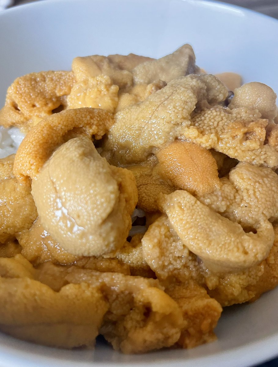 morishitagohan's tweet photo. 今年も瓶ウニの季節がきた。流石にとんでもなく濃厚で甘い。ぎっしり詰まったウニを全部一気に白米にかけるという贅沢。岩手の菊池商店さんのオンラインショップから購入。 https://t.co/XTE0yULmyv