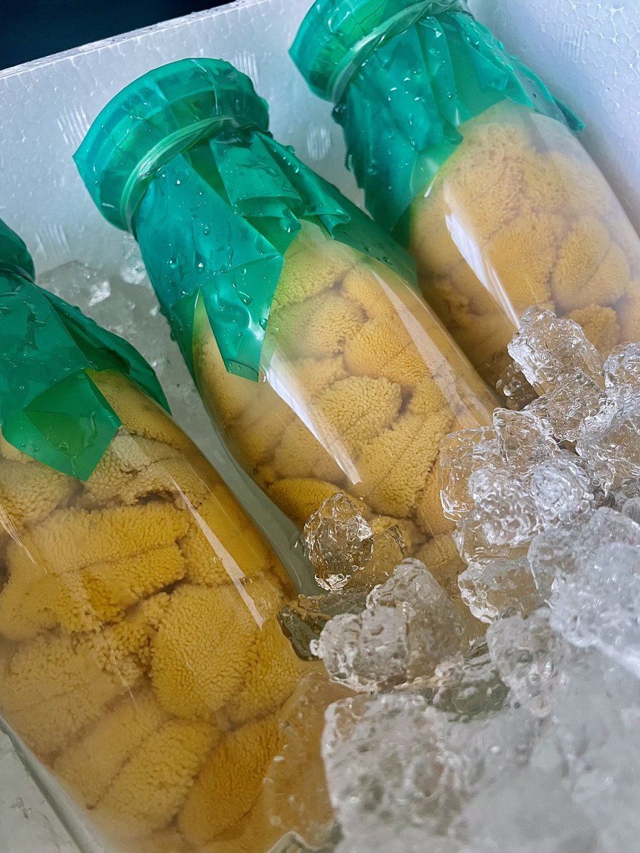 morishitagohan's tweet photo. 今年も瓶ウニの季節がきた。流石にとんでもなく濃厚で甘い。ぎっしり詰まったウニを全部一気に白米にかけるという贅沢。岩手の菊池商店さんのオンラインショップから購入。 https://t.co/XTE0yULmyv