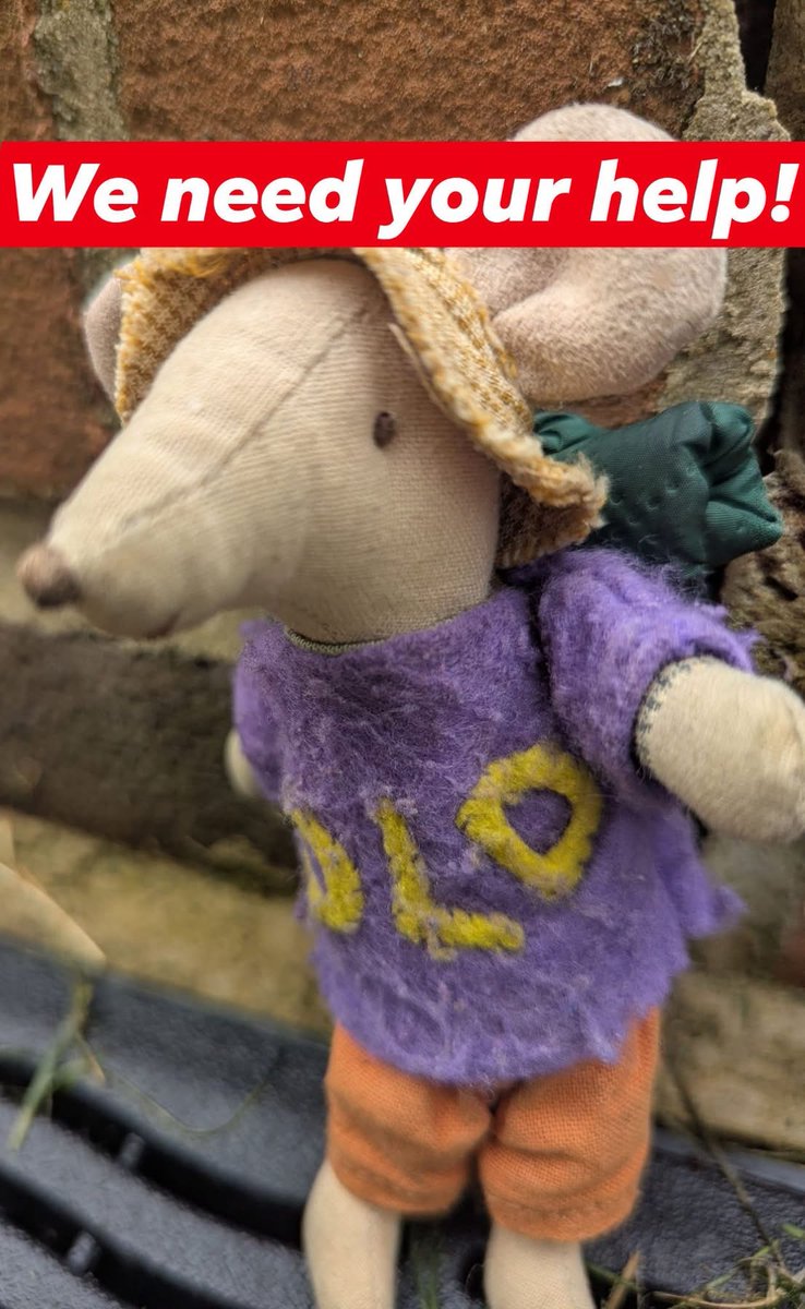 RADLDcam's tweet photo. In August, the DLD mouse will be walking up three mountains and cycling in between in 10 days to raise money for RADLD--a volunteer group with a mission to help people learn more about DLD-Developmental Language Disorder. more here https://t.co/t9se3LuRLF https://t.co/mLAcRPDGOg
