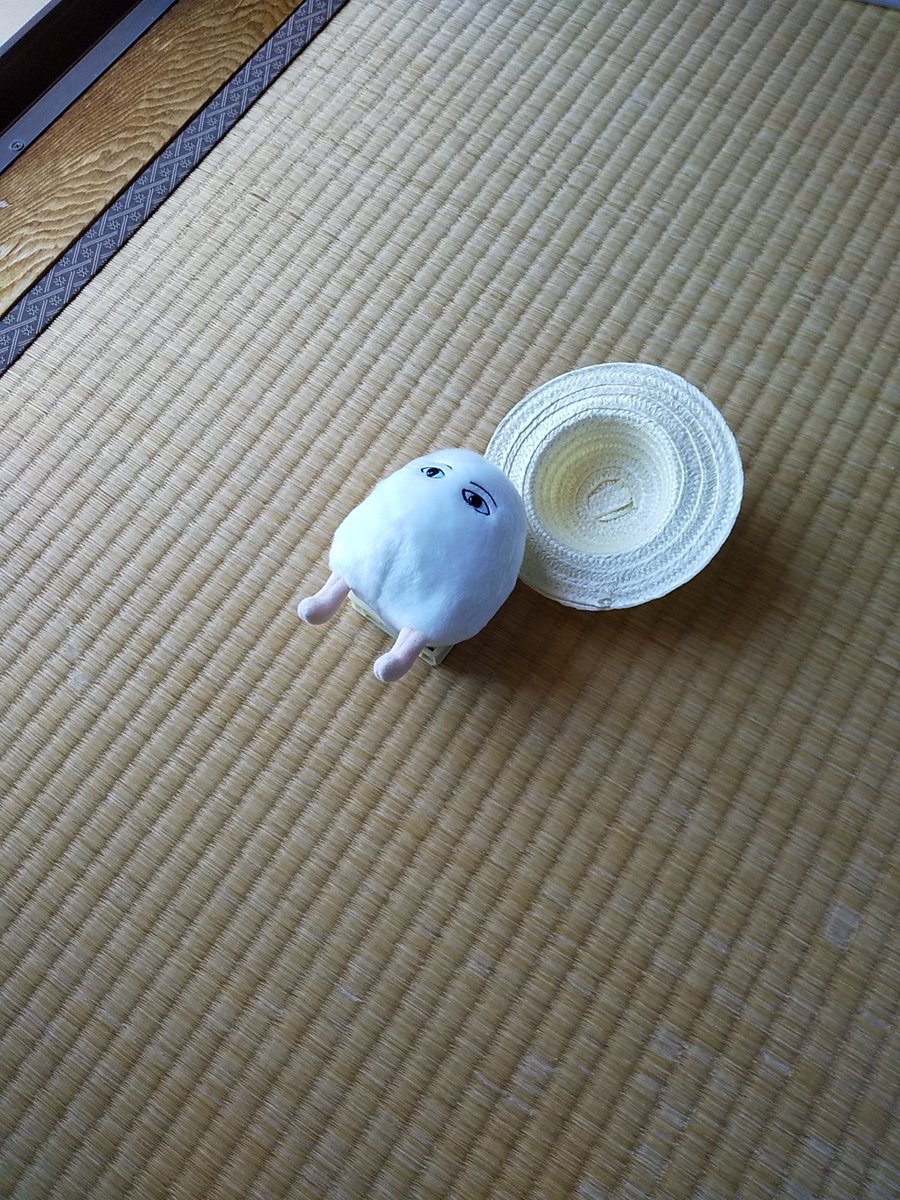 メジェド