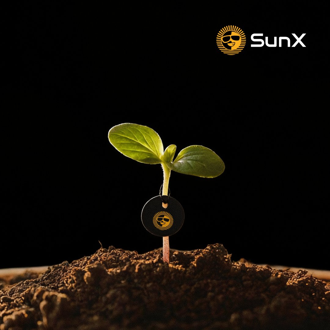 SunX tweet media