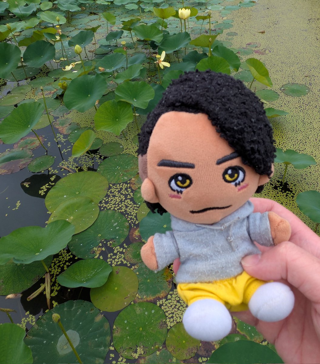 HappyRichacha's tweet photo. @ip98krk りちゃくんは蓮の花も似合います https://t.co/JwUG5SECTS